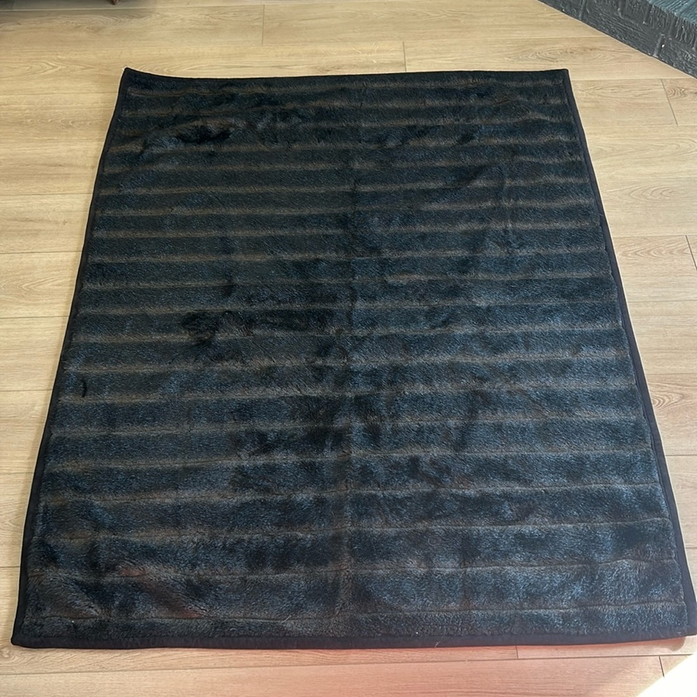 Pottery Barn Faux Mink Blanket 50x60